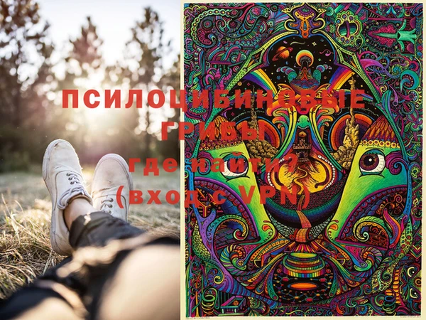 прущий лед Арсеньев