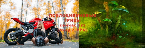 прущий лед Арсеньев