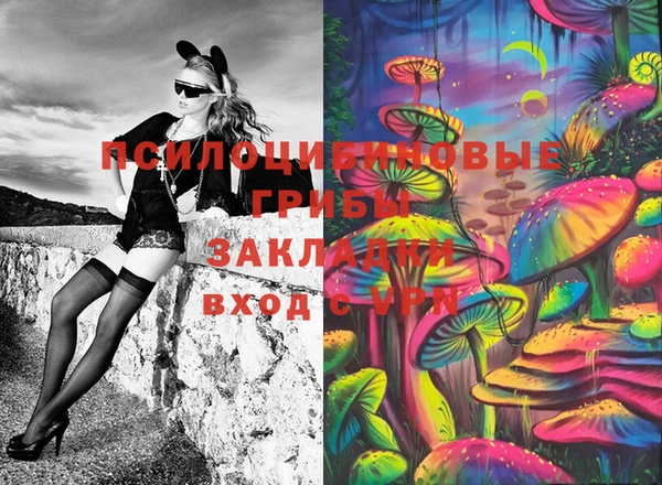 прущий лед Арсеньев