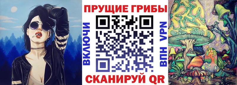площадка официальный сайт  Рыбное  Галлюциногенные грибы прущие грибы 